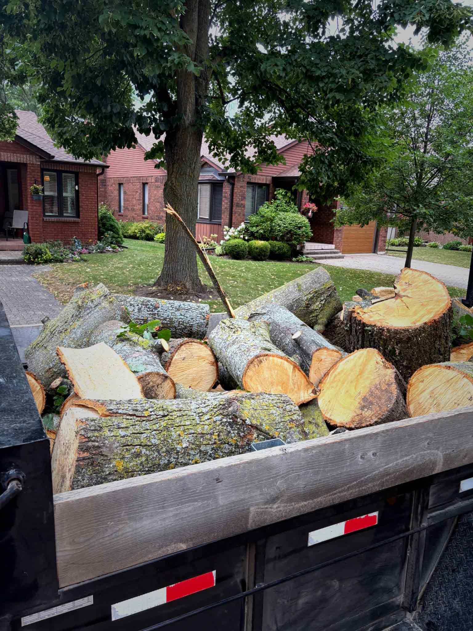 Site cleanup and log removal work completed by Arborize Ltd. in Everett.